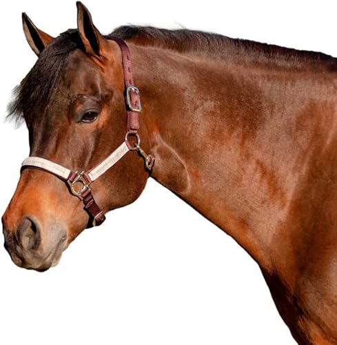 Miniatura 4 de Kensington - Halter de alta calidad con nariz acolchada, medidas de seguridad separadas añadidas, a presión en la garganta para un ajuste idéntico