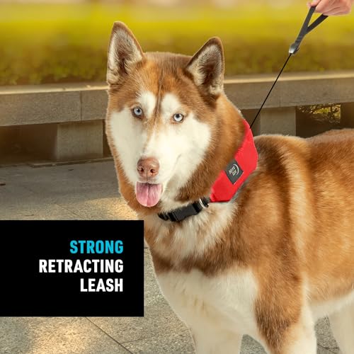 Nite Ize RRLM-10-R3 Raddog All-In-One Collar And Leash Combo thumb #2