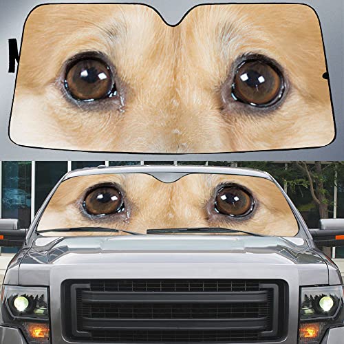 Pare soleil voiture pliable protecteur pare-brise intérieur universel camion auto M