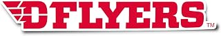 Desert Cactus University of Dayton Sticker Flyers UD Vinyl Decal Laptop Water Bottle Car Scrapbook (IND 00068)