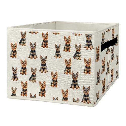 EGBTL [NV[eAMtg[r&{bNX nht p܂肽ݎoXPbg D   [L[Mtg h[oXPbg Q oX[ ߗ ̖{p