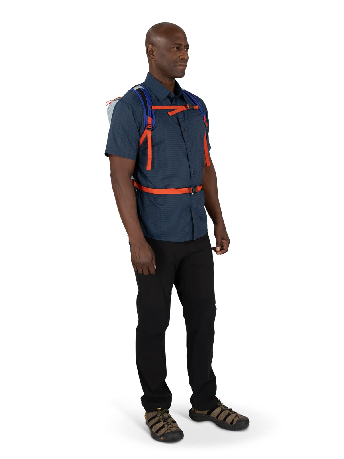 Daylite Cinch Silver Lining