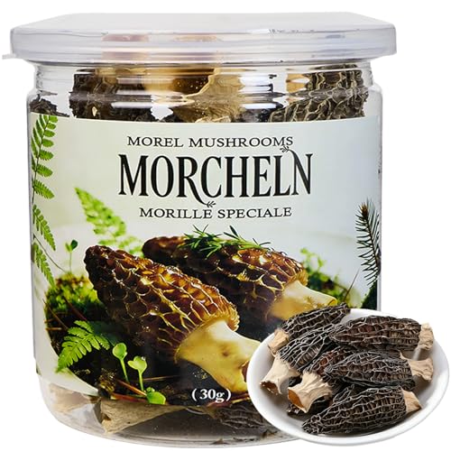 Morcheln Getrocknet Morelpilze getrocknete Morcheln Spitzmorcheln getrocknet Morchella Conica (30g)
