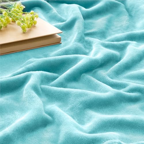 Image of BEDELITE Fleece Blanket Light Blue Throw Blankets for Couch & Bed, Luxury Plush Cozy Fuzzy Blanket 50 inch x 60 inch, Super Soft Warm Lightweight Throw Blanket for Travel Camping
