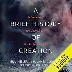 A Brief History of Creation Audiolibro Por Bill Mesler, H. James Cleaves II arte de portada