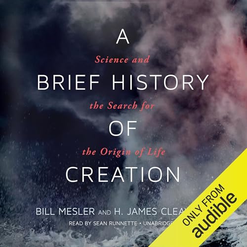 Page de couverture de A Brief History of Creation