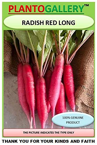 PLANTOGALLERY Vegetable Seeds | Radish red long F1 Hybrid Organic Seeds for Pot & Home Garden | pack of 1 pkt 50– 100 Seeds each, (LG-PLFB-53) (B085HV39LF) Amazon Price History, Amazon Price Tracker