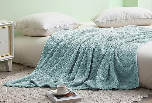 Image of Amazon Brand - Umi Premium Plush AC Blanket - Lightweight Luxurious Soft Leaf Flannel Blanket, Super Soft Cozy and Comfy for Couch - (Single - 139 x 228 CM, Light Blue)| TC - 200