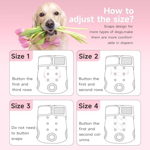 Image of Paw Legend Washable Reusable Female Dog Period Diapers for Heat Doggie Puppy Diapers for Female Dogs (3 Pack,X-Small)