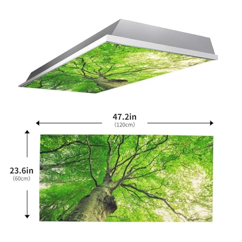 Image of Fluorescent Light Cover for Classroom - 2 Pcs Spring Trees Magnetic Fluorescent Light Covers, Ceiling Light Covers Shade Panel Coverings for Office Classroom Home Drop Ceiling, 4 x 2 Feet