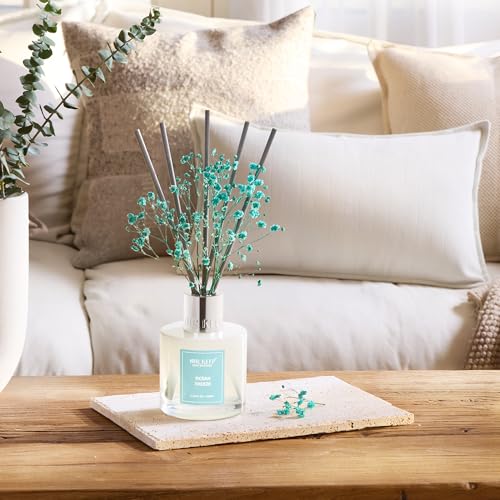 Image of Airkeep Reed Diffuser Set,3.38 fl oz (100 ml) - Ocean Breeze Oil Diffusers with 8 Reed Sticks, Home Fragrance Reed Diffuser for Bathroom Shelf Decor