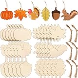 60 Pieces Thanksgiving Unfinished Wooden Ornaments Maple Leaves Pumpkin Wood Cutout Squirrel Acorn...