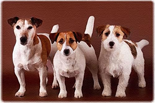 Amazon かわいいジャックラッセルテリアペットの犬の動物 Diy 5dダイヤモンドペインティングキット 家の壁の装飾の誕生日プレゼントのためのdiyアートクラフト 50x70cm 刺しゅうキット 通販