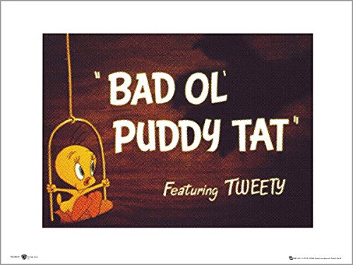 Art Print Titi et Grosminet 40x50 poster deco murale chambre retro Looney Tunes