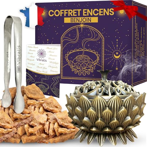 Coffret Encens Benjoin – 100g d'Encens Benjoin, Encensoir et Pince en Acier Inoxydable – Idéal...
