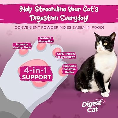 Vital Planet - Digest Cat Digestive Pancreatic Enzyme Blend with Pumpkin and Ginger to Support the Pancreas and Healthy Digestion with Pancreatin, Salmon Flavored Powder for Cats - 111 Grams 30 Scoops