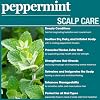 Difeel Peppermint Scalp Care Shampoo 33.8 oz. - Peppermint Shampoo Made with Natural Ingredients