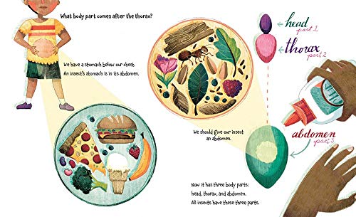 How to Build an Insect - Image 6