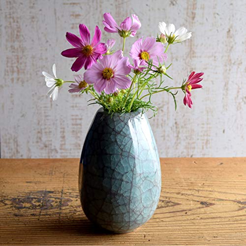 Amazon.co.jp: 和食器 京都 たち吉 八重がすみえくぼ 花生(桐) 851 Amazon.co.jp: 和食器 京都 たち吉 八重がすみえくぼ 花生(桐) 851