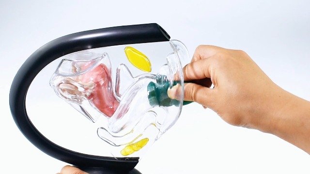 SHORDY Reusable Menstrual Cups (Large) Set Of 2 With Mini Box, Medical Grade Silicone, Coupe Menstruelle, Safe Period Cup, Heavy Flow Kit, Feminine Hygiene, Tampons, Pads & Disc Alternative (Green - View #11