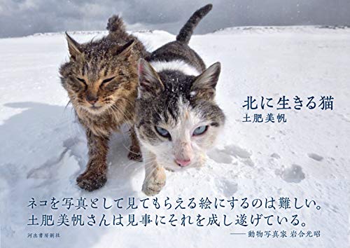 キンドル 無料電子書籍 北に生きる猫 バイ