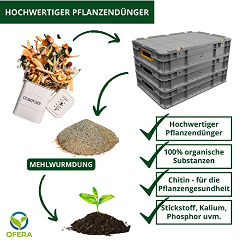 OFERA Mehlwurm Farm Zucht für Mehlwürmer Insekten Hühnerfutter Vogelfutter Wildvögel ganzjährig Fischfutter Aquarium Wurmkiste Komposter Mehlwürmer lebend Futter Hühner Zubehör Kompost Dünger Bio