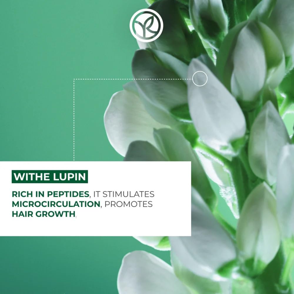 Yves Rocher Fortifying Conditioner Density, Strengthening Conditioner for Thinning Hair, Reduces Breakage & Hair Fall, Fuller-Looking Density with White Lupin & Agave, Silicone-Free, 200ml/6.76 Fl oz