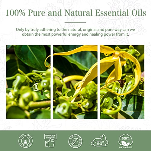 Phatoil 100Ml Ylang Ylang Essential Oil, Premium Essential Oils For Diffuser, Humidifier, 3.38Fl.oz Scented Oils For Soap, Candle Making #TOP5