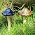 Danmu Garden Decor, 4pcs (Random Color) Ceramic Mushroom for Garden, Yard, Fairy Garden - Lawn Ornament Décor, Pottery Ornament 4.52" in Height