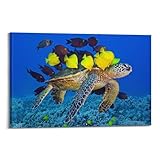 Poster décoratif sur toile représentant un poisson qui se nourrit au dos d'une tortue de mer - Poster décoratif sur toile moderne pour chambre à coucher (20 x 30 cm)