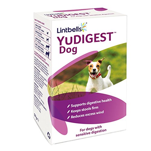 Lintbells YuDIGEST Dog Digestive Health Supplement for Dogs Prone to Tummy Troubles (60 Tablets)