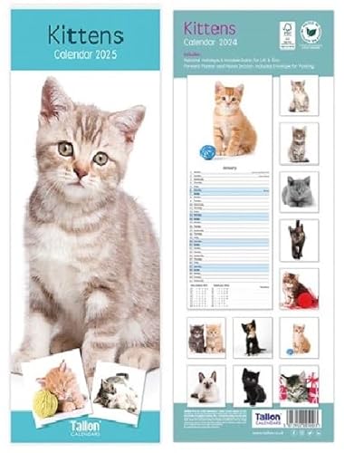 Orbitron Calendario da parete 2025, sottile, mensile, rilegatura a spirale, con foto, cuccioli, gattini, fiori, fauna selvatica (gattini)