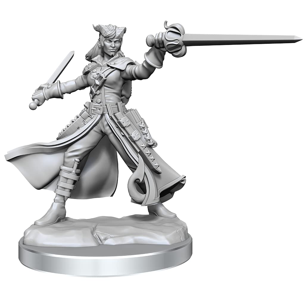 Amazon.com: WizKids D&D Frameworks: Tiefling Rogue Female