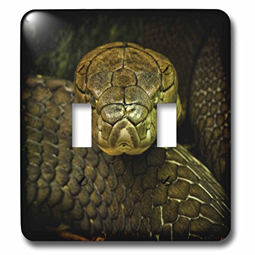 Cobra serpent vert plaque double pour masquer interrupteur usé - 2