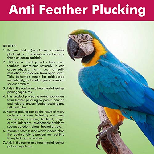 Image of Pet Care International (PCI) Pick-Not Spray || Anti Feather Plucking || Stop Birds Plucks Feathers || 100ml