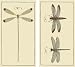 HomArt Large Decorative Dragonfly Insect Matches