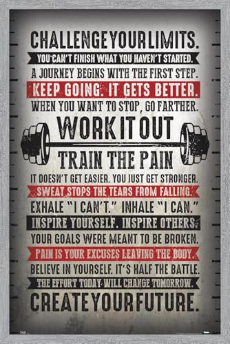 Trends International Challenge Your Limits Wall Poster, 34L x 22.4W, Gray Framed Version