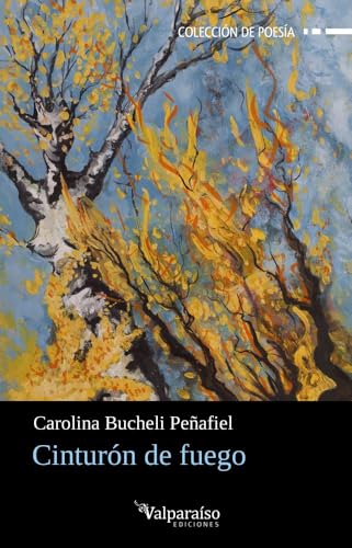 Cinturón de fuego: 501 (Colección Valparaíso de Poesía)