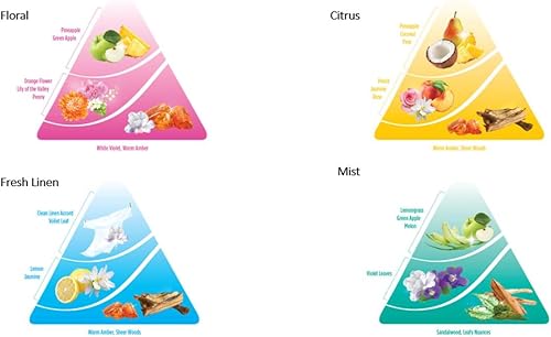 InstaClean Limpiador multiusos para eliminar manchas de 32 onzas con recambio de 128 onzas lino fresco