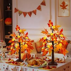 2 pack timer 20 inch prelit fall lighted maple tree thanksgiving decor with 48 leds battery operated artificial tabletop pumpkin acorn maple tree autumn harvest party home indoor halloween decor  urban country home decor