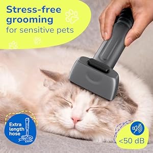   PETS-DREAM-Dog-Hair-Dog-Grooming-Vacuum-Kit-Ultra-Large-35L-Dust-Cup-4-Suction-Levels-Low-Noise-Pet-Grooming-Vacuum-for-Dogs-Dog-Vacuum-for-Shedding-Grooming-with-Nail-Grinder-574ft-Hose