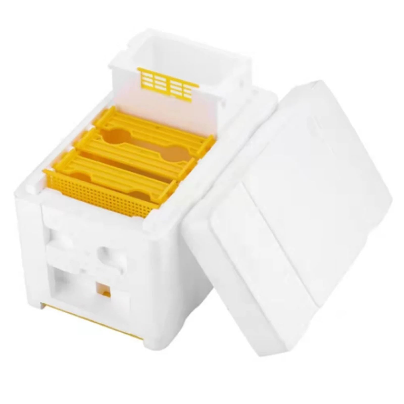 Dcdcd 3Pcs Queen Bee Rearing Mating Beehive Beekeeping Tools Bee Hive Foam Beekeeping Box King Beehive Bee Keeping Bee Supplies(3Pcs)