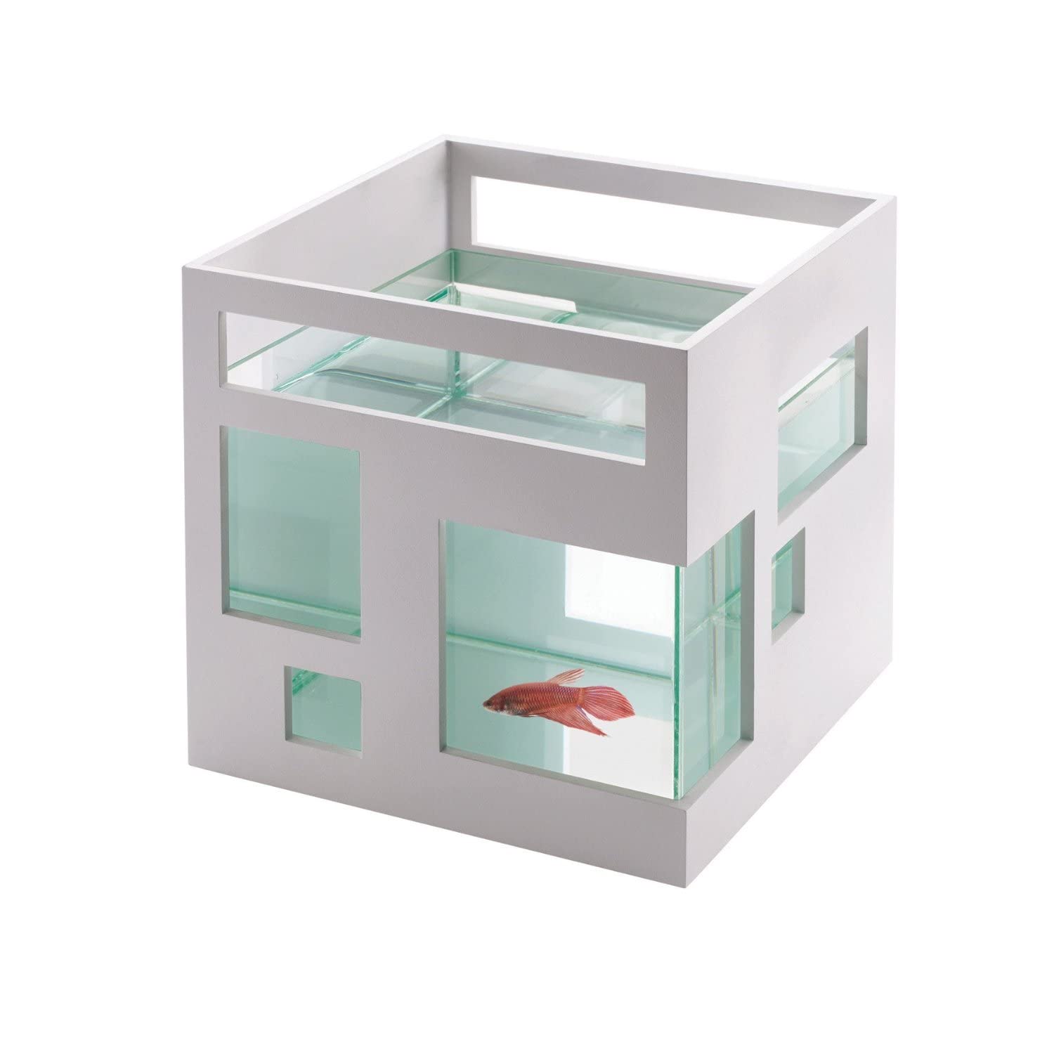 See full amazon price history chart for Green Live Acrylic 8 inches Aquarium 4.5Ltr Water Fish Tank 100% Durable Long Lasting Acrylic (Not Glass & Plastic) Green Live Acrylic 8 inches Aquarium 4.5Ltr Water Fish Tank 100% Durable Long Lasting Acrylic (Not Glass & Plastic) (B09TZ9GLLV) Amazon Price History, Amazon Price Tracker