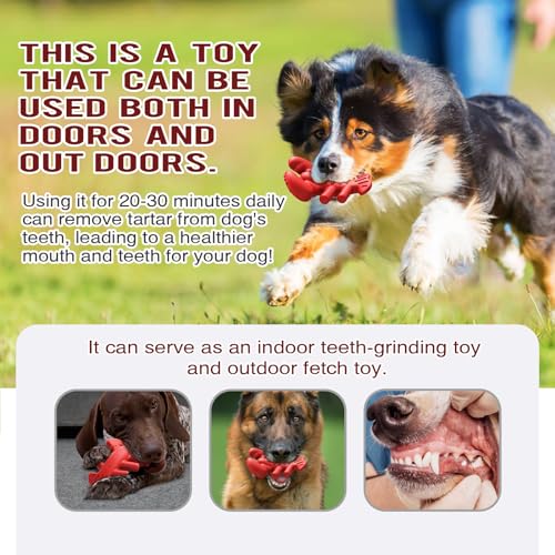 LiuMelinda Dog Chew Toys for Aggressive-Chewers - Indestructible Dog Toy for Aggressive Chewer,Tough Chew Toys for Dogs (Nylon Red-Lobster)