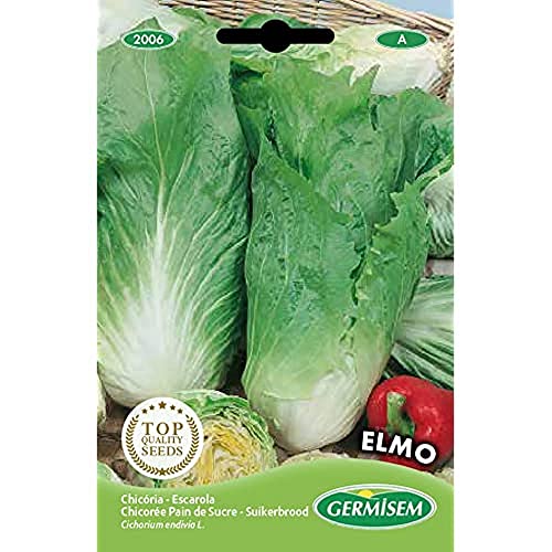 Germisem Elmo Semillas de Achicoria 4 g, EC2006