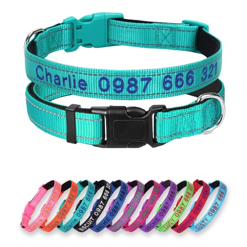Weiches Neopren-Hundehalsband mit Polsterung & personalisiertes Nylon-Haustierhalsband mit Quick-Release-Schnalle und individueller Stickerei für Name und Telefonnummer, Türkis