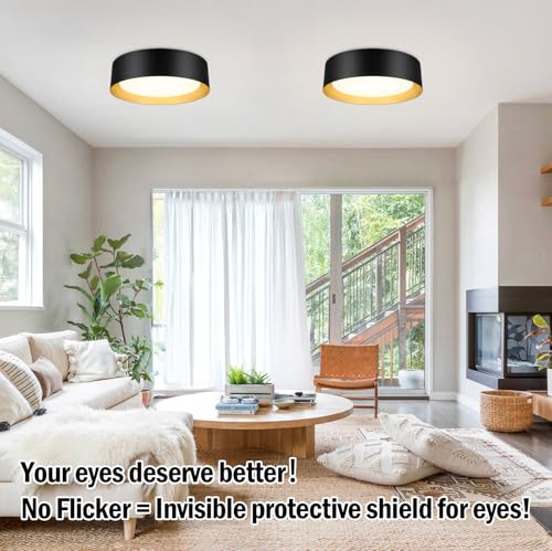 Image of Flush Mount Ceiling Light, 13in Modern Ceiling Light 5 Color Temperature