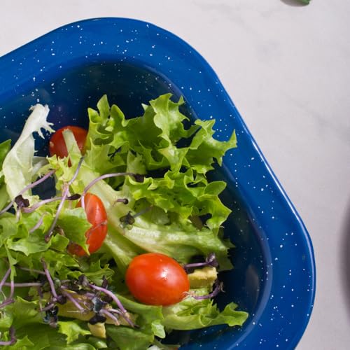 Cinsa-6-Piece-Multiuse-Plate-Set-1-Quart-Speckled-Blue-Enamelware-Plates-for-Indoor-Outdoor-Camping-Dishes-Picnic-Farmhouse-Kitchen Cinsa 6 Piece Multiuse Plate Set 1 Quart Speckled Blue Enamelware Plates for Indoor Outdoor Camping Dishes Picnic Farmhouse Kitchen