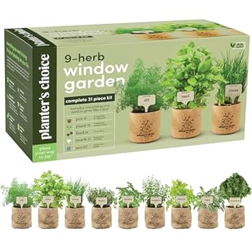 planting kits for adults