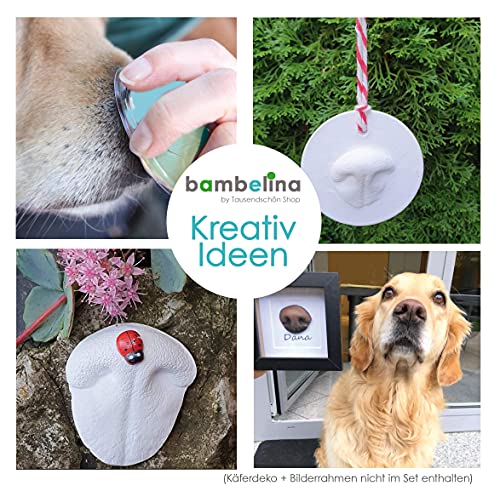 bambelina® Gipsabdruck Set Hundepfote und Hundenase. 3D Abdruck-Set Hund und Katze für Pfote und Schnauze, wiederverwendbare Gießform, Deutsche Herstellung, Pfotengröße XS bis M